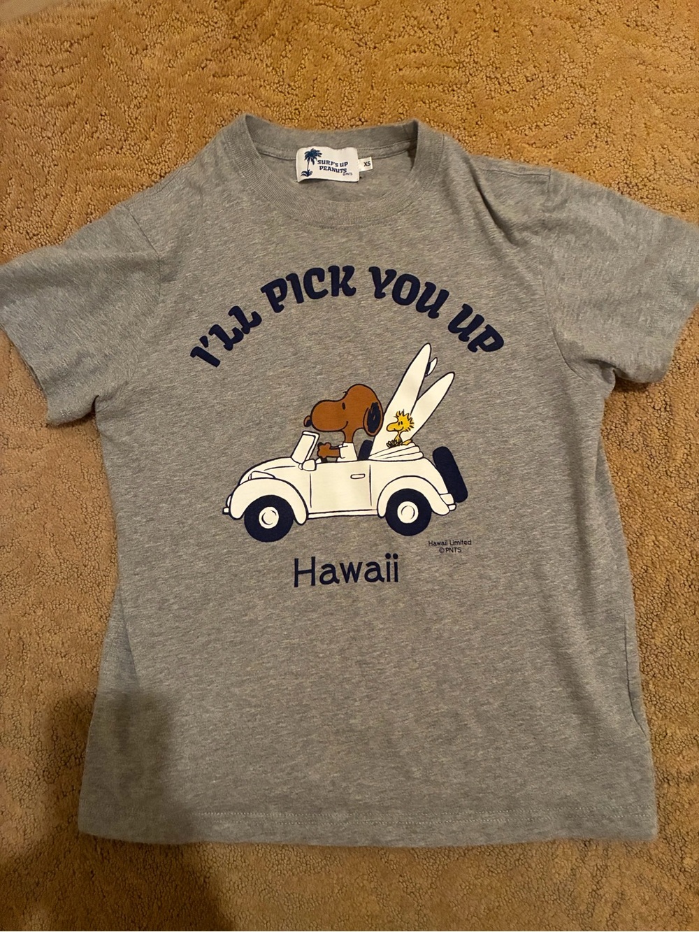 Hawaii Limited Surf’s Up Peanuts Snoopy T-Shirt Gray XS